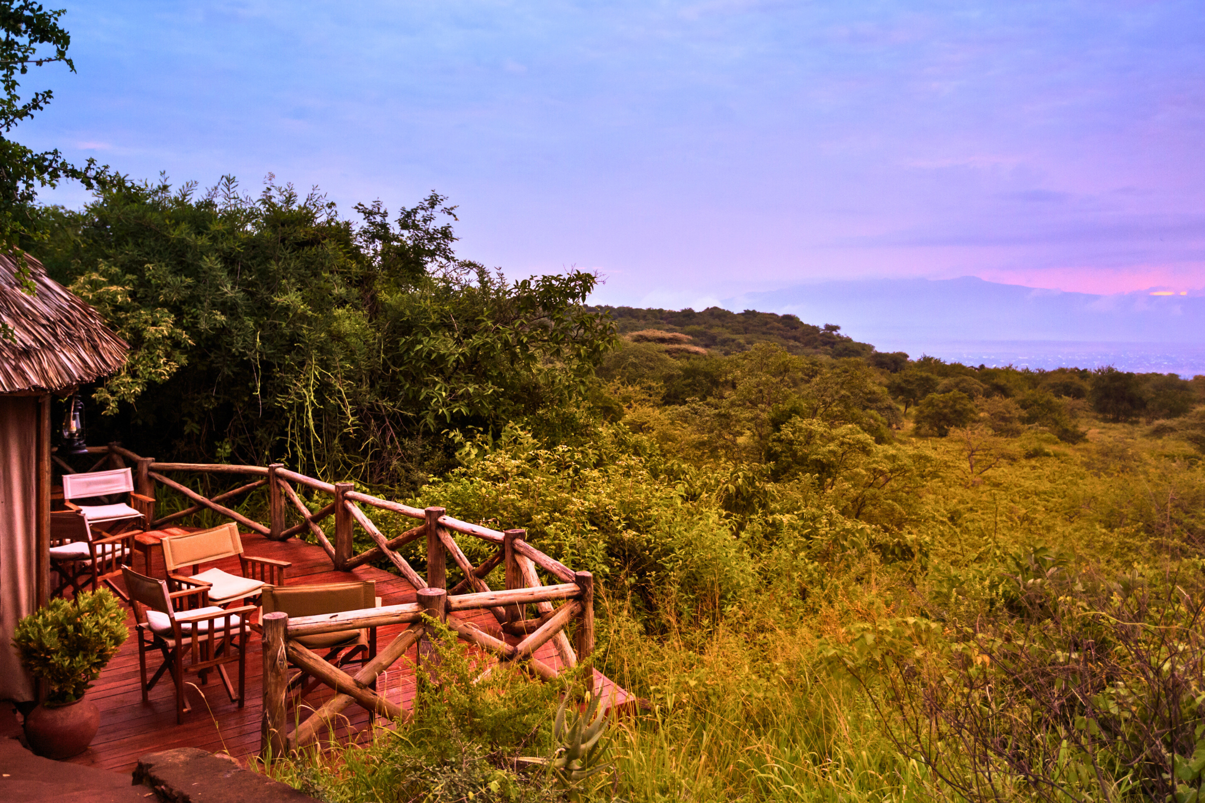 makalali private game lodge (4).webp